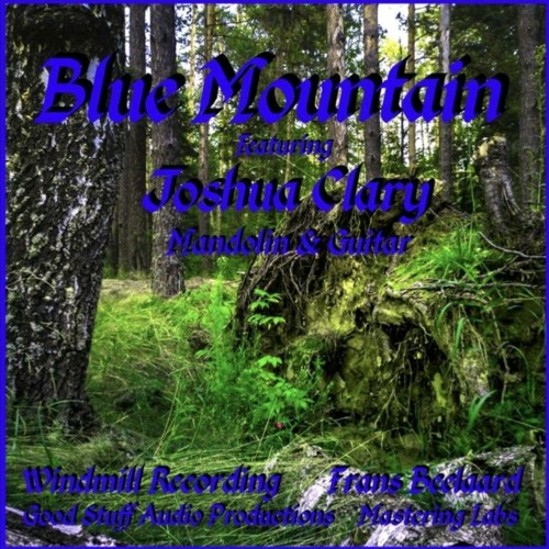 Blue Mountain (with Frans Beelaard)