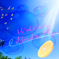 OJB  (feat. XANE) - Watching Birds Fly