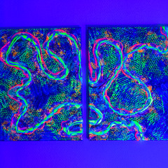 Acidflexi - Synapsenclown im Hirnrindenirkus