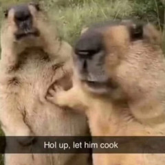 Portfolio Sessions 024 | NPCgroove (Hard Bounce, Hard Trance)