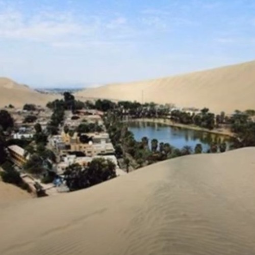 NO:EL - OASIS (미공개곡)