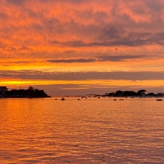 En attendant l'été...