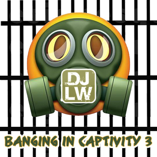 Banging In Captivity 3