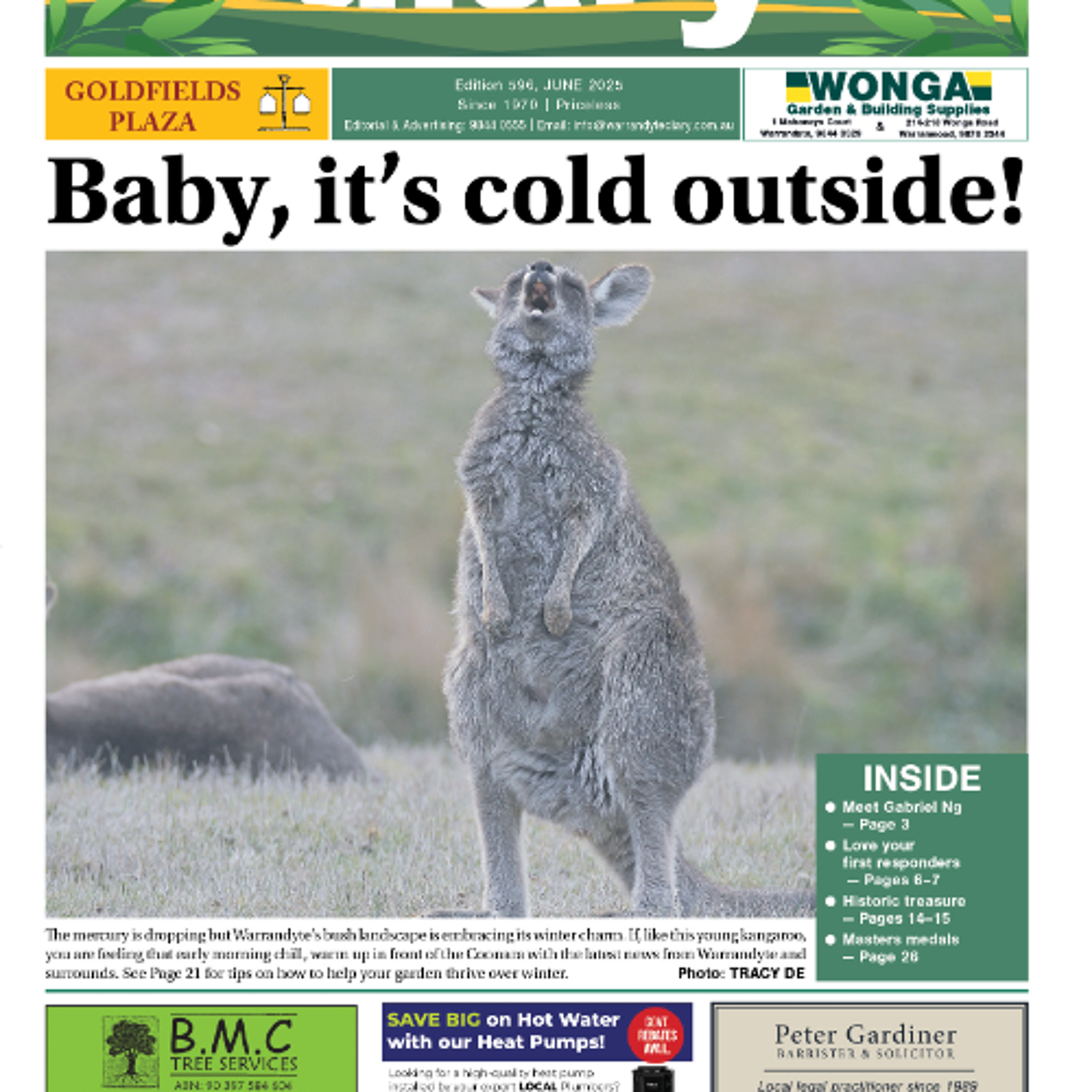 Reading of the Warrandyte Diary articles