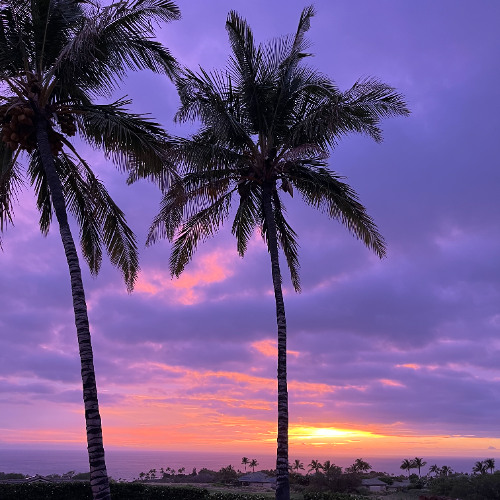 Organic House June '25 Mix