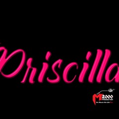 OPENING OFF PRISCILLA M2000(YADI RMX)