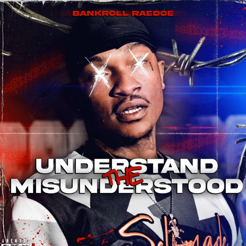 Bankroll RaeDoe - Like Me