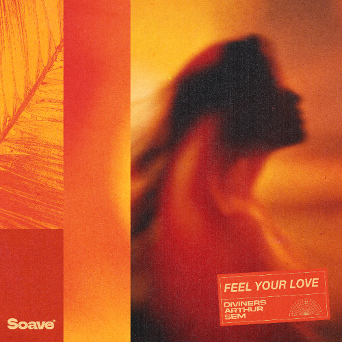 Diviners & Arthur - Feel Your Love (feat. SEM)