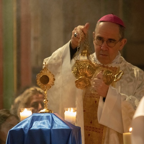 Homélie de Mgr Matthieu Rougé à la messe d'installation de la relique de Carlo Acutis