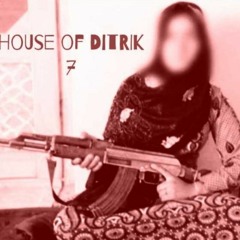 House Of Ditrik 7