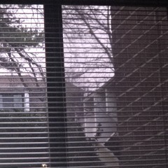 my dad saw me with my body pillow and i got embarrassed