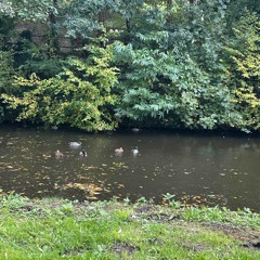 Close Hearts  - 14_12_2025, 12.56 am