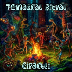Temazcal Ritual - 171bpm B - Cipactli