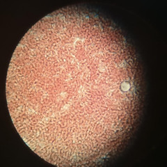 Vacam - Tracksito II (Original Mix)