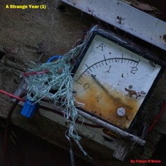 A Strange Year - Disc One - (Album Sample)