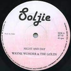 Wayne Wonder "Night And Day" DJ Duckcomb Edit
