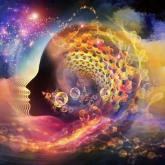 Where Is My Mind?