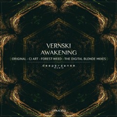 Awakening (Original Mix)