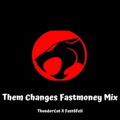 Them Changes(Fastmoney Mix)