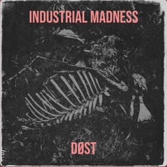 Industrial Madness