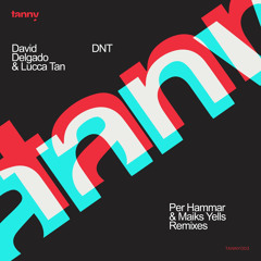 DNT (Per Hammar Remix)