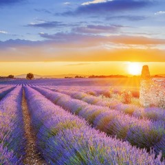 Catchin' Vibez w/ GOTTI (Volume 3)