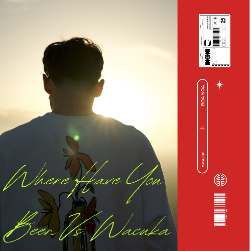 Where Have You Been Vs. Wacuka (Boa Noa Mash-Up)(Filtered & Pitch -1 For Copyright)
