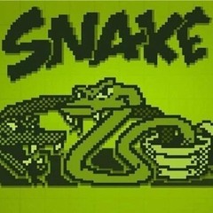 Thats The Snakes Brakes