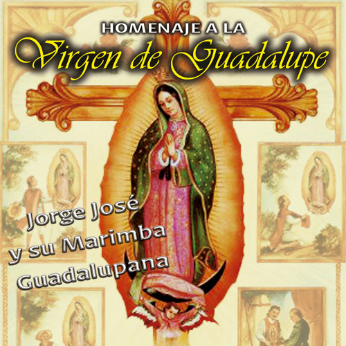  Listen to Buenos Dias Paloma Blanca by Jorge Jose Y Su Marimba Guadalupana in Homenaje A La Virgen de Guadalupe playlist online for free on SoundCloud