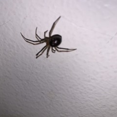 Bug 2 prod. dead marauder