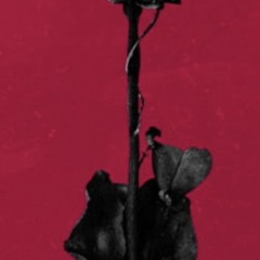 Fuel To My Fire - Maddie