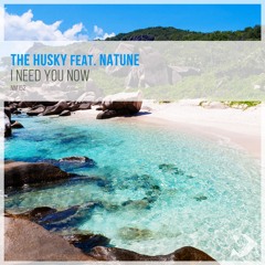 I Need You Now (Original Mix) [feat. Natune]