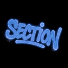 Section