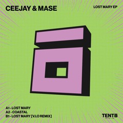 CEEJAY, MASE - Lost Mary (V.I.O Remix)