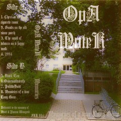 The Smell of Tobacco On a Foggy Walk