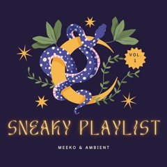 Meeko & Ambient - Sneaky Playlist