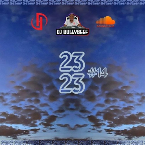 23:23 #14