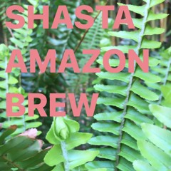 Amazon Shasta