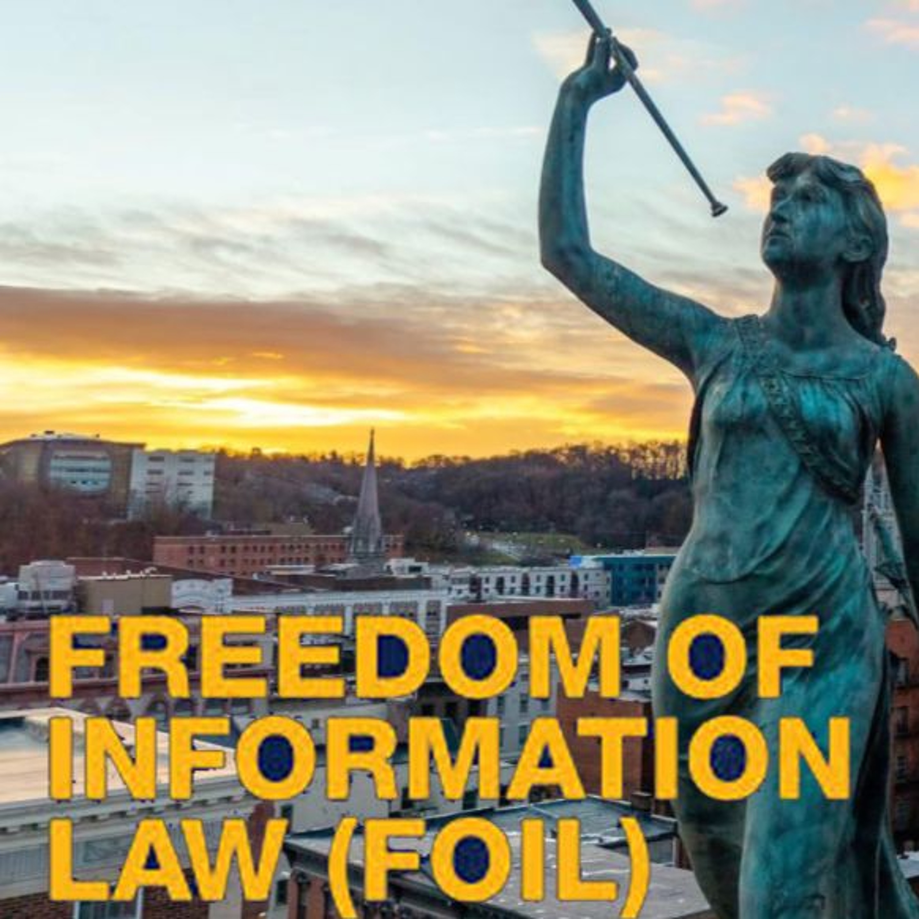 Do Freedom of Information Law (FOIL) Requests in Troy Actually Produce Information? episode artwork