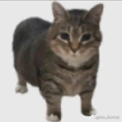 oooooooooooooooooooooooooooooooooooooooooooooooooooooooooooooooooooooooooooooooooooooo