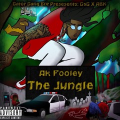 Im Up (feat. Abk Tj) prod.Ak Fooley