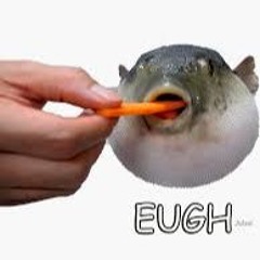 Fly Me To The Moon (short Cover)