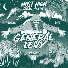 Most High (Clean Heart) (Ariwa Style)