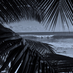 The Groove Of Summer
