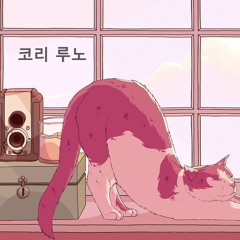 morning