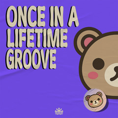 Once In A Lifetime Groove