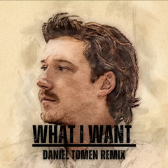 Morgan Wallen, Tate McRae - What I Want (Daniel Tomen Remix)
