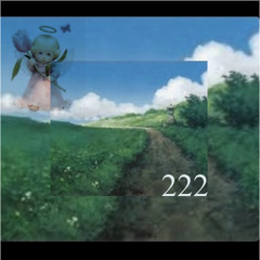 222