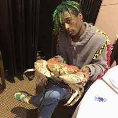 Lil Uzi Vert - Patek Swag (Snippet Mix)