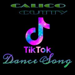 TikTok Dance Song